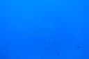 DSC00899.JPG