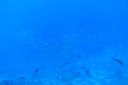 DSC00901.JPG