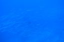 DSC00902.JPG