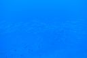 DSC00904.JPG
