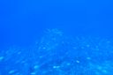 DSC00905.JPG