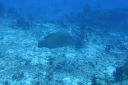 DSC00909.JPG