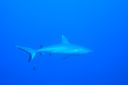 DSC00932.JPG