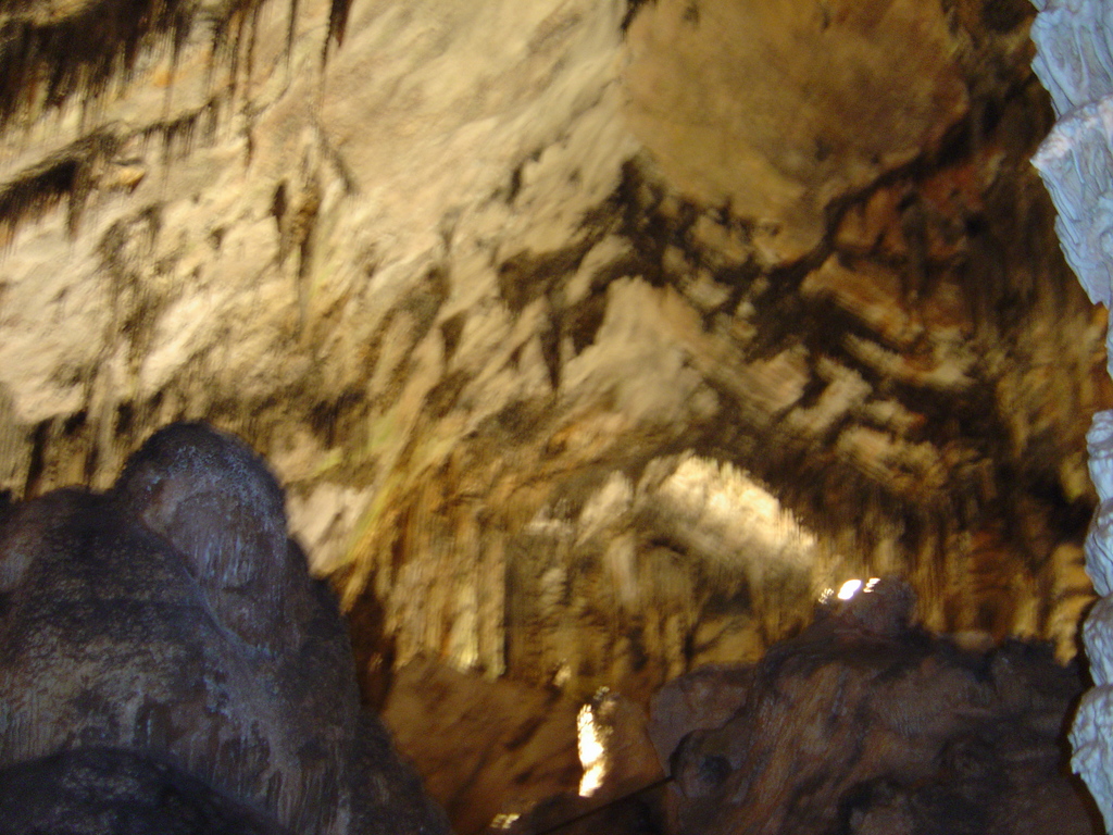 DSC00033.JPG