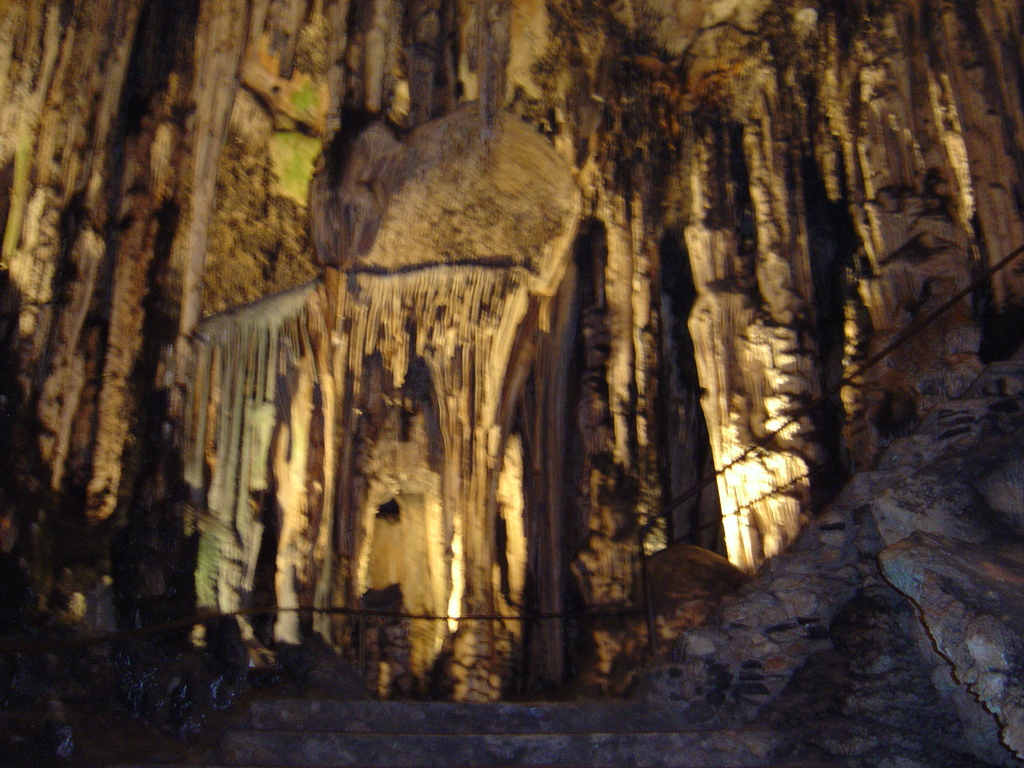 DSC00037.JPG