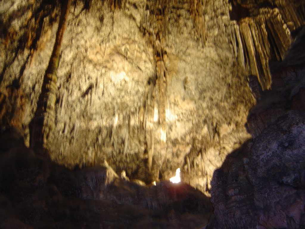 DSC00044.JPG