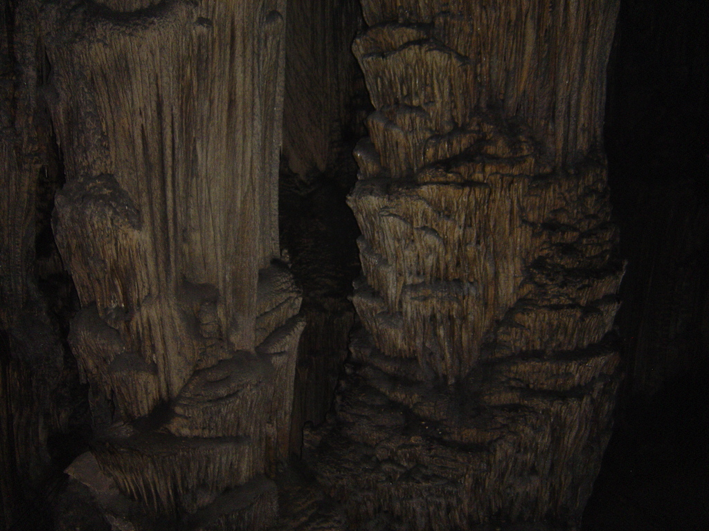 DSC00046.JPG