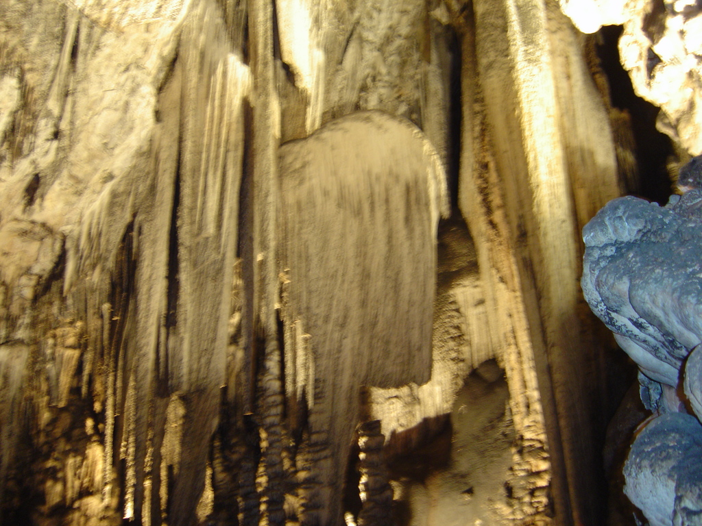 DSC00055.JPG
