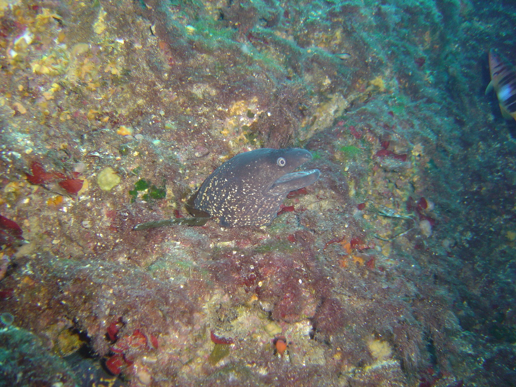 DSC00064.JPG