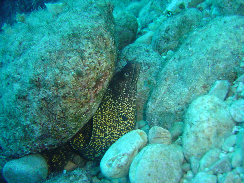DSC00069.JPG