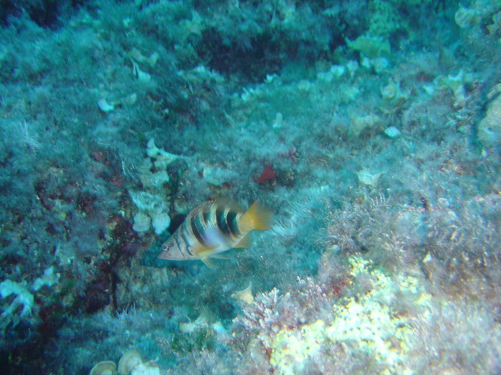DSC00070.JPG