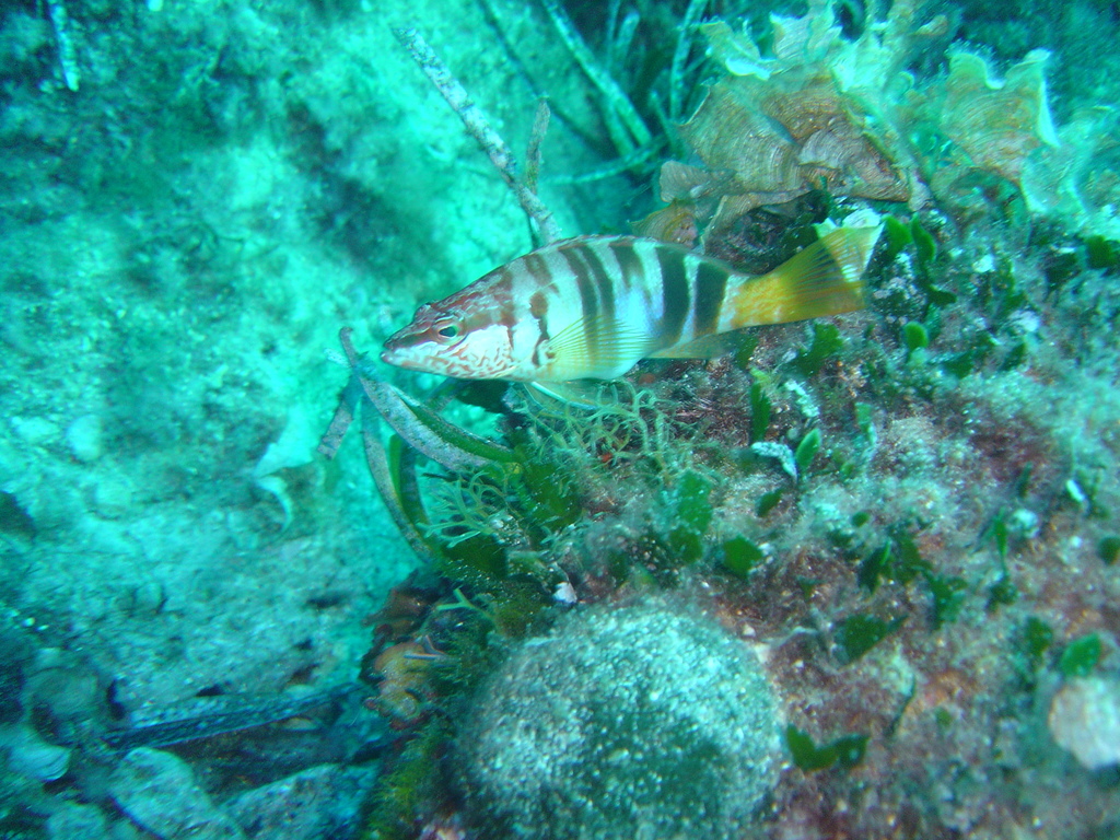 DSC00072.JPG