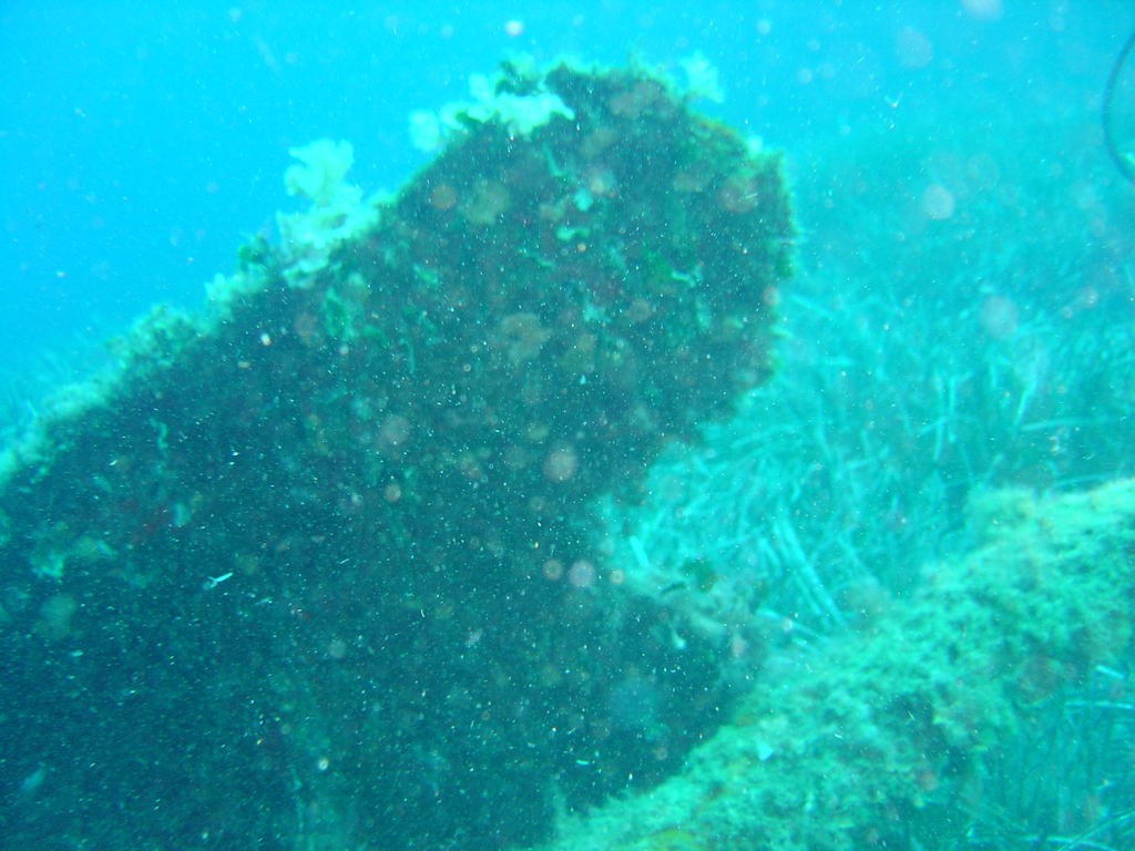 DSC00080.JPG