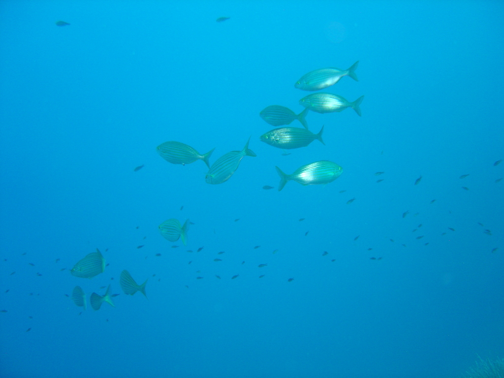 DSC00081.JPG