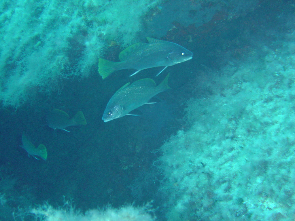 DSC00099.JPG