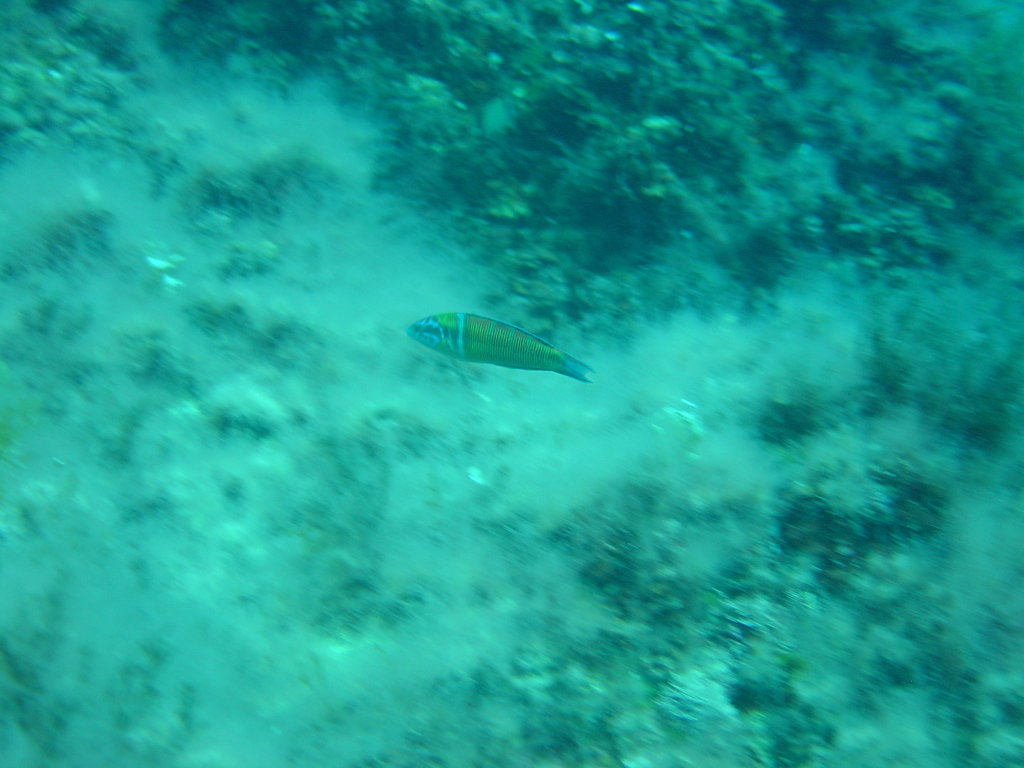 DSC00120.JPG