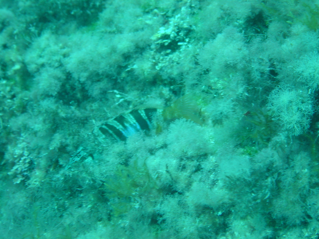 DSC00124.JPG