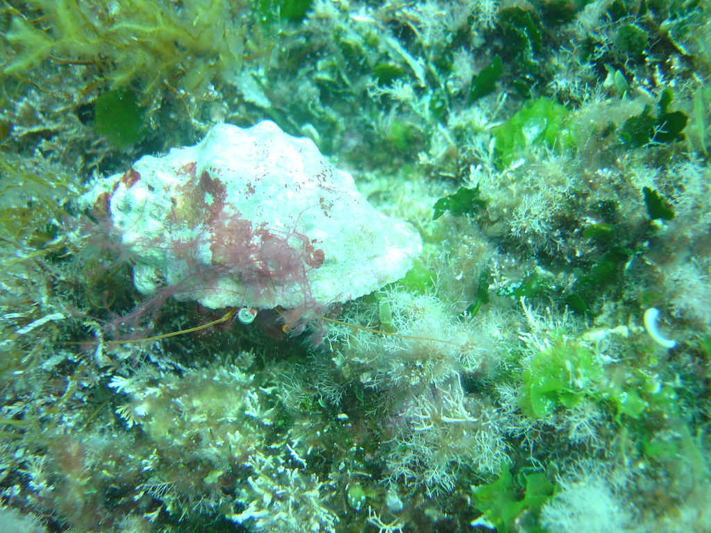 DSC00132.JPG