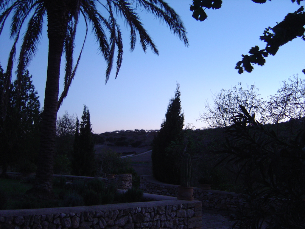 DSC00141.JPG
