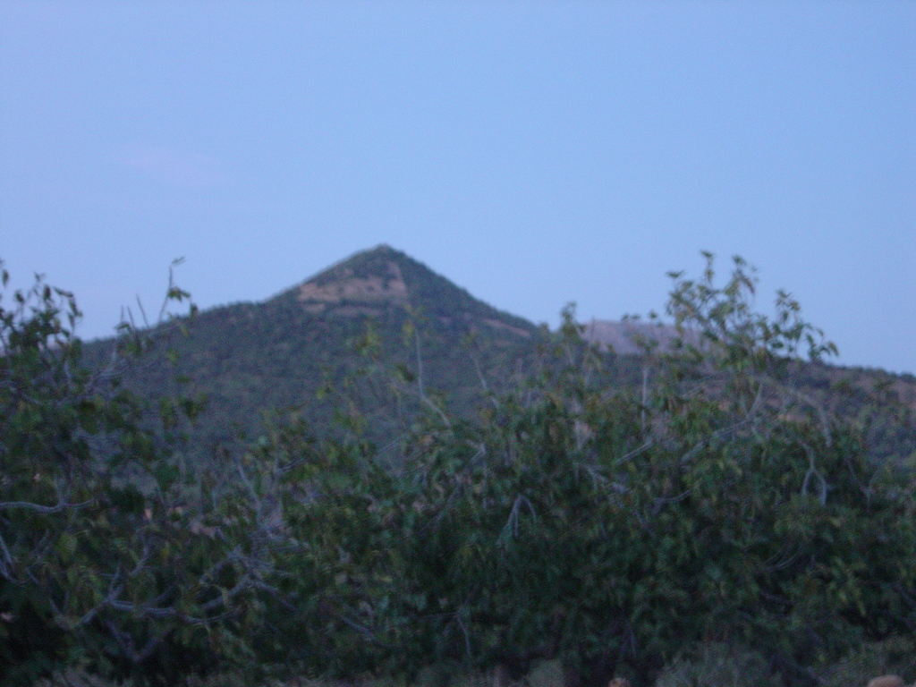DSC00146.JPG