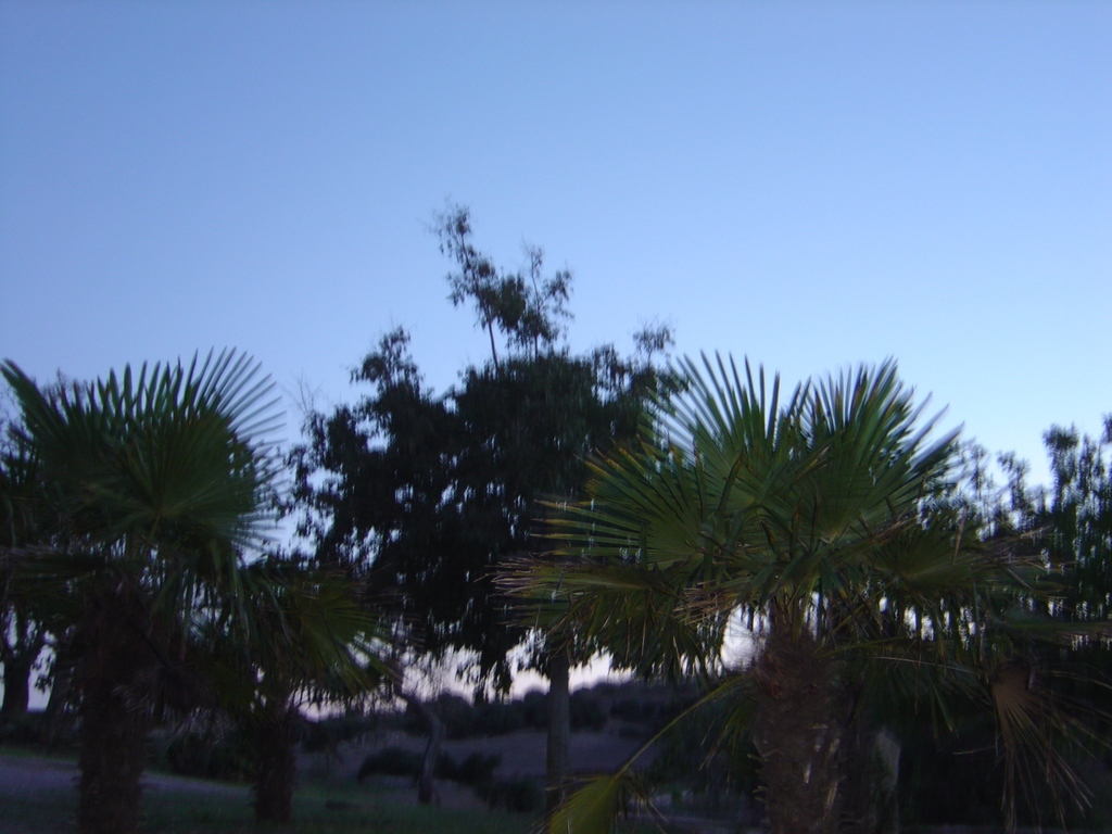 DSC00147.JPG