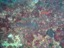 DSC00025.JPG