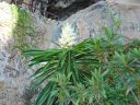 DSC00031.JPG