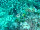 DSC00071.JPG