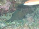 DSC00108.JPG
