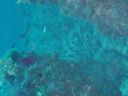 DSC00109.JPG