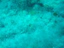 DSC00112.JPG
