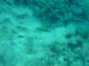 DSC00120.JPG