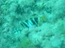DSC00125.JPG