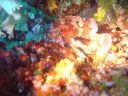 DSC00133.JPG