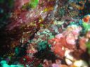 DSC00134.JPG