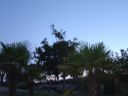 DSC00147.JPG