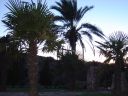 DSC00148.JPG