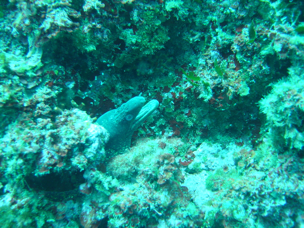 DSC00045.JPG