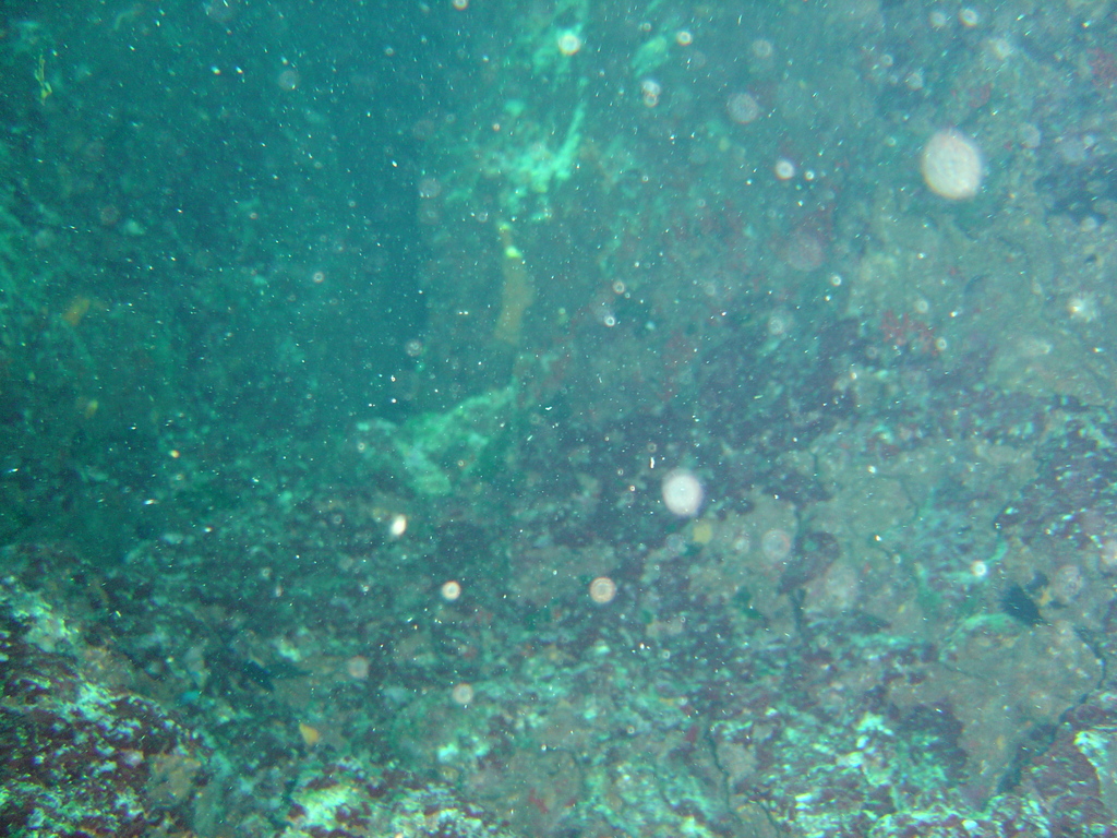 DSC00051.JPG