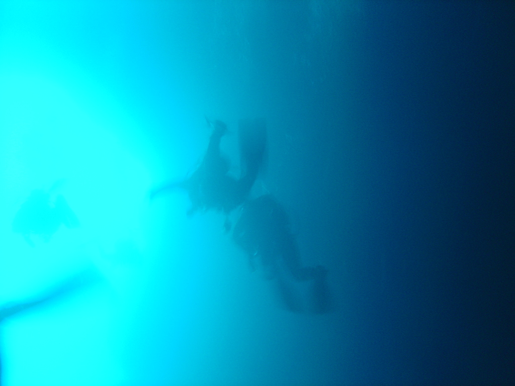 DSC00079.JPG
