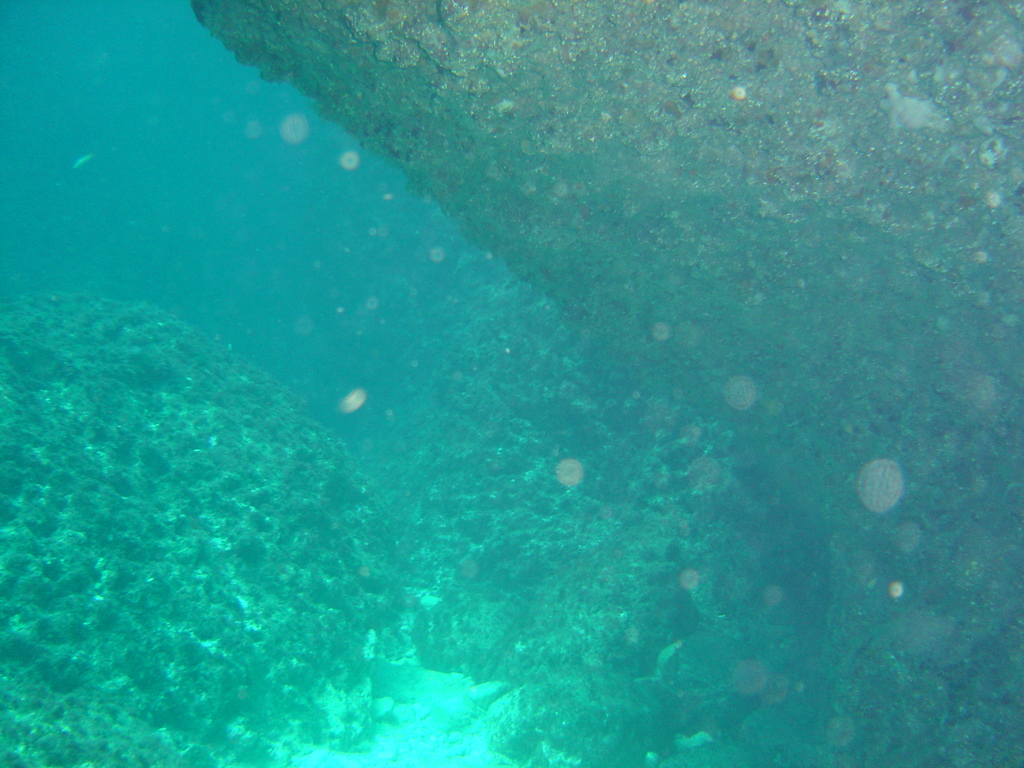 DSC00099.JPG
