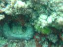 DSC00013.JPG