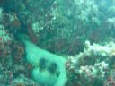DSC00016.JPG
