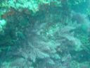 DSC00027.JPG