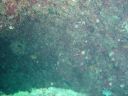 DSC00038.JPG