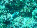 DSC00045.JPG