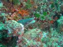 DSC00046.JPG