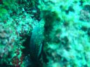 DSC00047.JPG