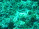 DSC00048.JPG