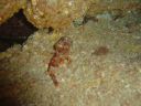DSC00102.JPG